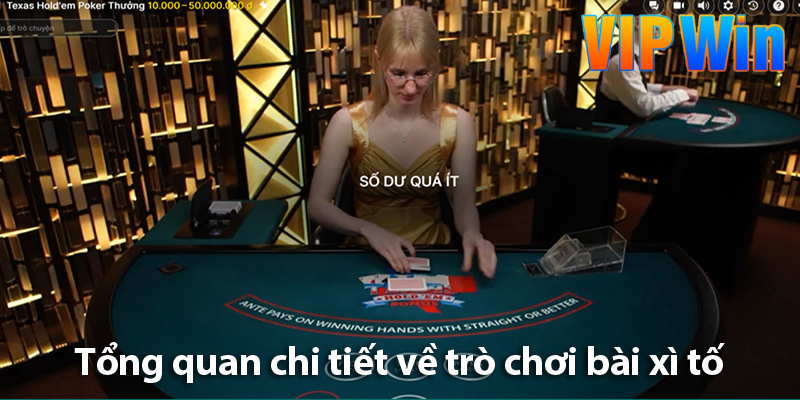 Thuật ngữ và cách chơi bài xì tố chuẩn nhất cho các cược thủ tại yo88