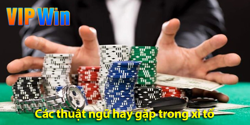 Thuật ngữ và cách chơi bài xì tố chuẩn nhất cho các cược thủ tại yo88