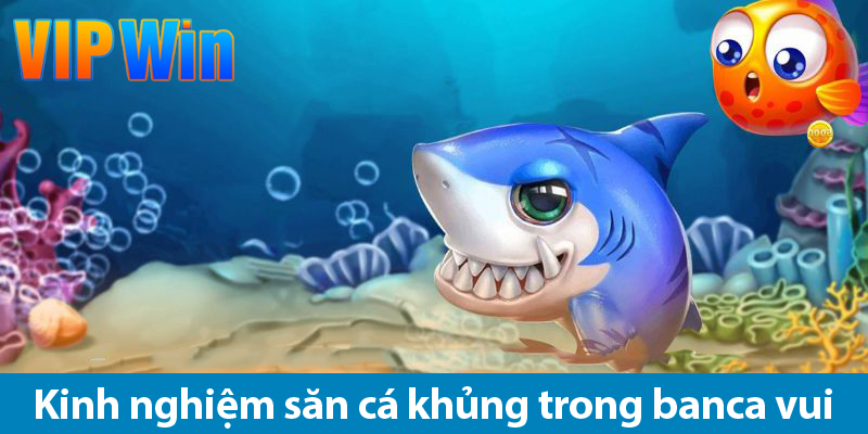 Bắn cá vui: Đắm chìm trong đại dương, kiếm tiền thả ga