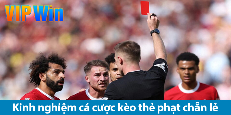 Kèo chẵn lẻ thẻ phạt: Loại hình cược phụ hấp dẫn trong cá độ bóng đá