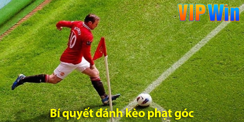 Kèo phạt góc – Tìm hiểu các loại kèo góc và bí quyết chơi