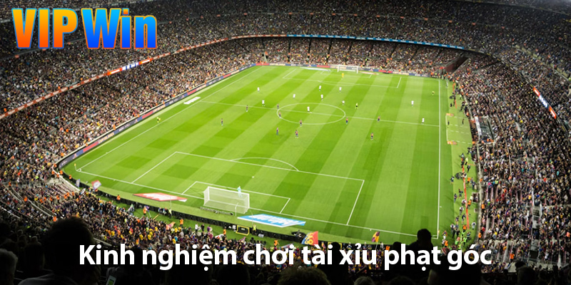 Tài xỉu góc - Kinh nghiệm và chiến thuật chơi hiệu quả nhất 2025